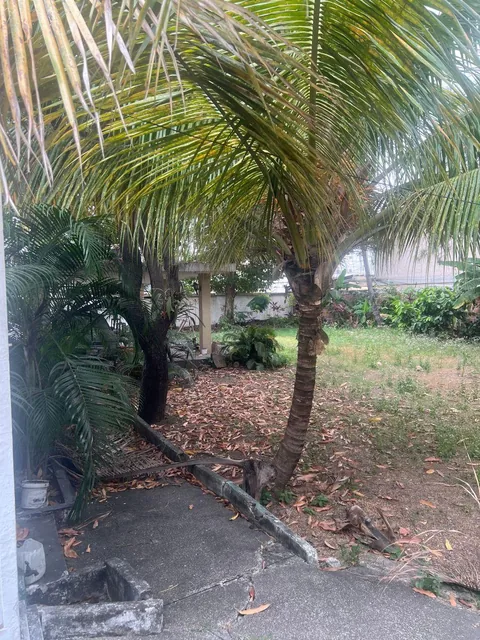 Venta en Urdesa, Calle Cedros, Terreno 1.580 m², Construcción 420 m², Casa P. Baja, Guayas — imagen 2