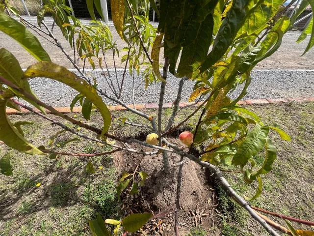 Vendo Terreno Vacacional De2.000 Mtrs2 Entocachi / Cantón Pedro Moncayo — imagen 2