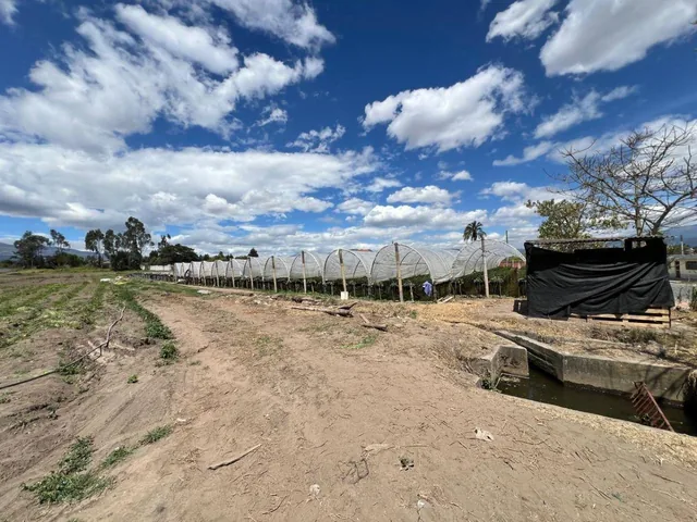 Vendo Hermoso Terreno Esquinero en Tababela 2 Frentes a Vías Principales 2 Hectáreas — imagen 5