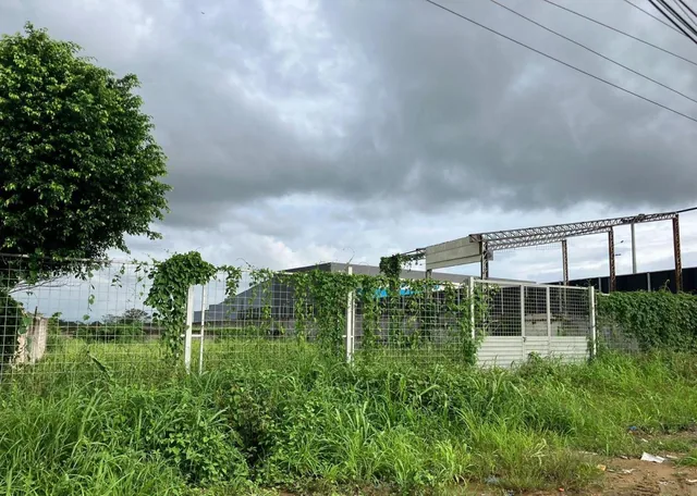Via Samborondon Km 11 1/2 Terreno Comercial o Residencial, Guayas — imagen 3