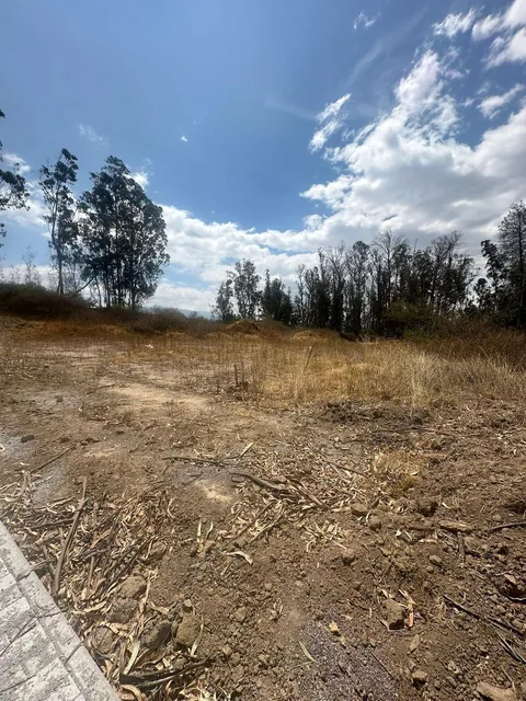 Lotes de Venta en Exclusivo Conjunto Privado en Puembo — imagen 5