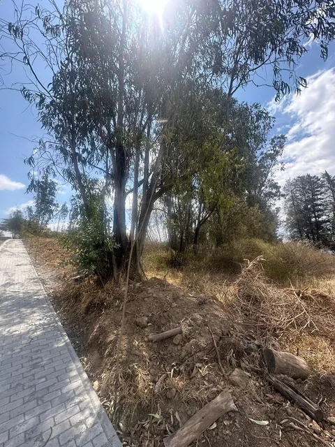 Lotes de Venta en Exclusivo Conjunto Privado en Puembo — imagen 4