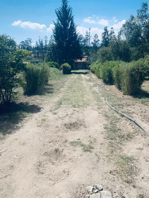 Venta Terreno con Casa Pequeña de Campo Shalom Puembo — imagen 4