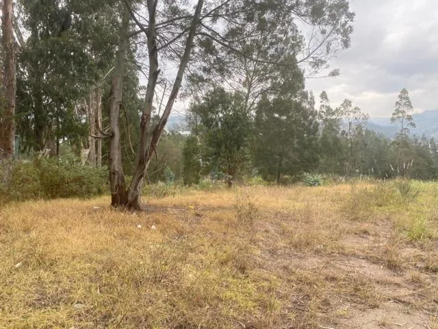 Oportunidad Terreno en Venta 17.500 m² Sector Chuquipata (Unae) — imagen 2