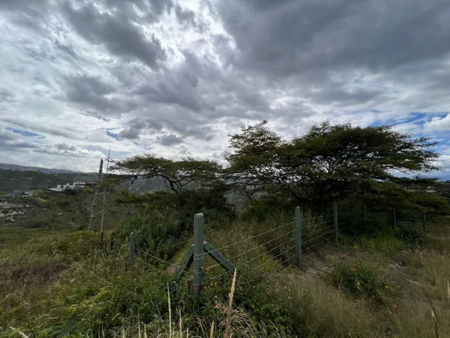 Hermoso Terreno de Venta en Shalom Mangahuantag. Puembo — imagen 4