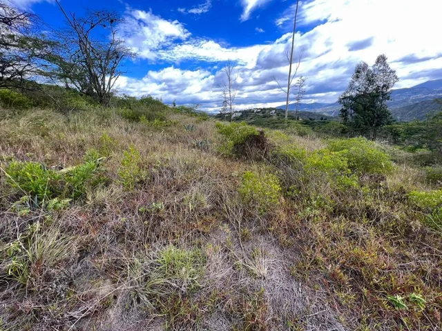 Hermoso Terreno de Venta en Shalom Mangahuantag. Puembo — imagen 2