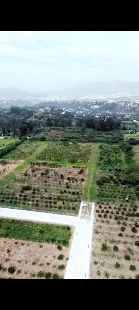Vendo Lotes en Tumbaco en Urbanizacion Consolidada y Segura — imagen 2