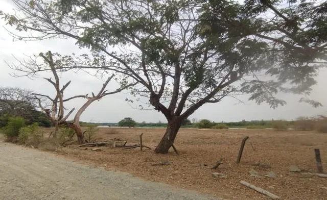 Terrenos en Guayas, Daule, Nobol Lotización Los Canales Km 5, Guayas — imagen 5