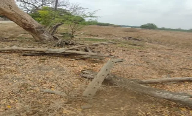 Terrenos en Guayas, Daule, Nobol Lotización Los Canales Km 5, Guayas — imagen 4