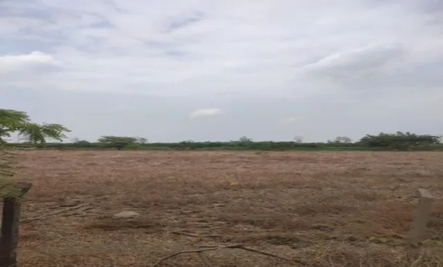 Terrenos en Guayas, Daule, Nobol Lotización Los Canales Km 5, Guayas — imagen 3