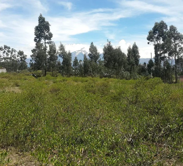 Terreno en Venta La Esperanza, Pedro Moncayo — imagen 3
