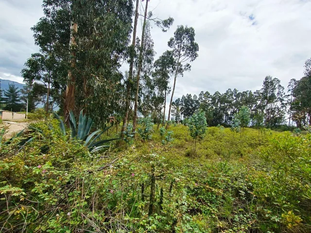 Terreno en Venta La Esperanza, Pedro Moncayo — imagen 2