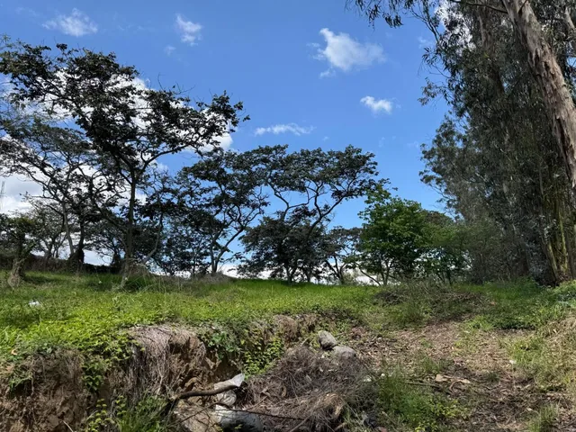 Vendo Terreno 2.309,26 m² Sector Inchapicho Nayon — imagen 4