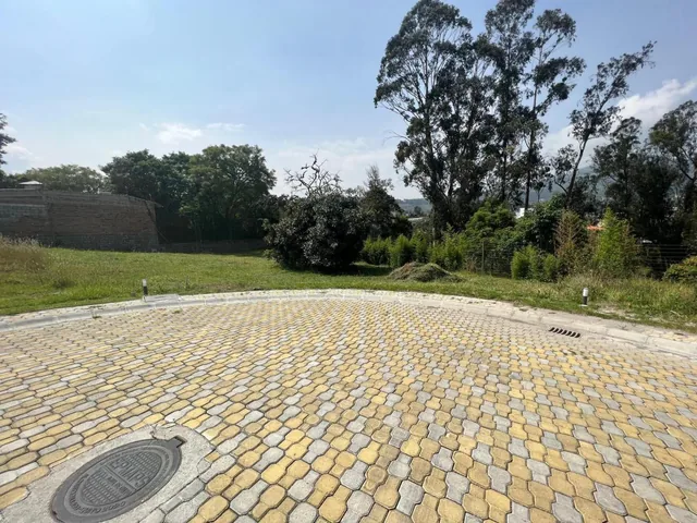 Venta Terreno 603 m² Tumbaco - Morita - Ruta Viva — imagen 5