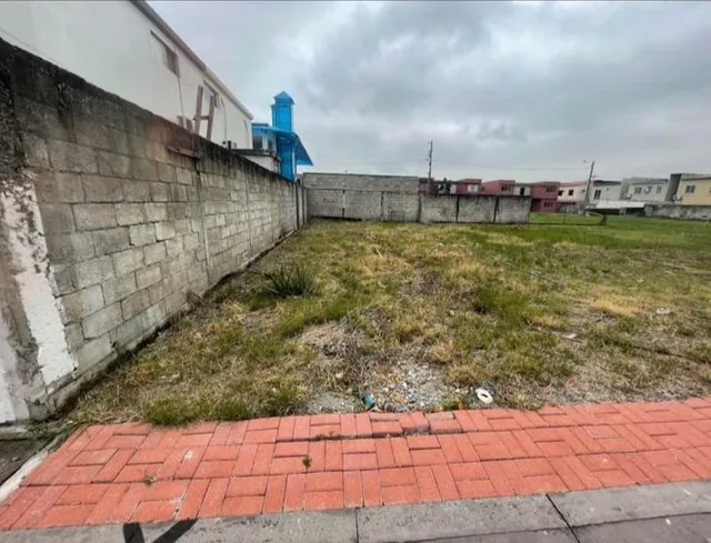Salitre, Vendo Terreno Medianero. 160 m², Guayas — imagen 2