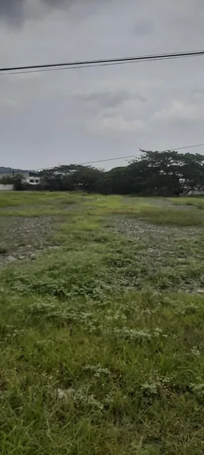 Venta Terreno Industrial 74.400 m Cuadrados Via a Daule, Guayas — imagen 5