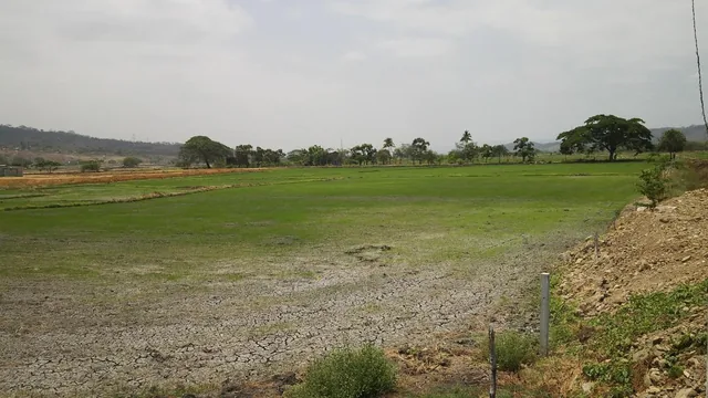 Venta Terreno Industrial 74.400 m Cuadrados Via a Daule, Guayas — imagen 4