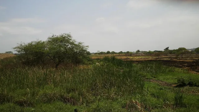 Venta Terreno Industrial 74.400 m Cuadrados Via a Daule, Guayas — imagen 3