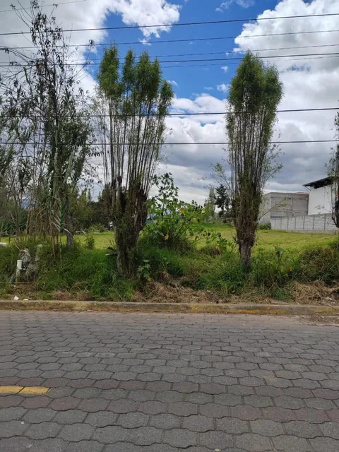 Terreno de Venta en Ascazubi - 3200 m² — imagen 5