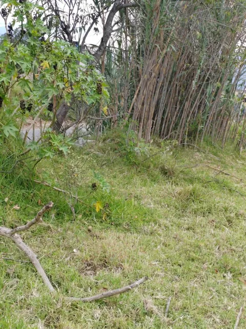 Terreno de Venta en Ascazubi - 3200 m² — imagen 4