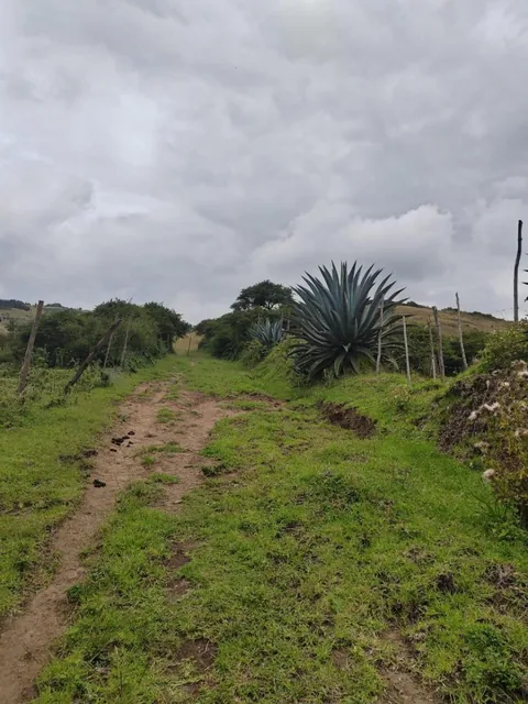 Terreno de Venta en Ascazubi - 3200 m² — imagen 2