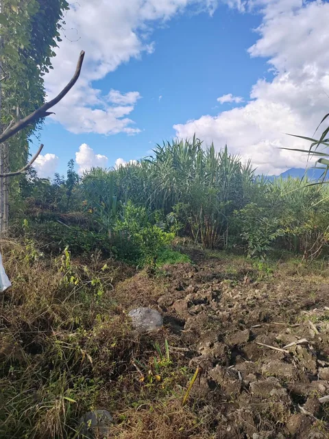 Vendo Terreno Planito Urbanizado en Borja, Napo — imagen 3
