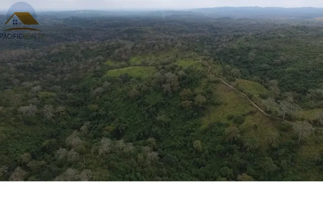 Terreno - Norte de Isidro Ayora, Guayas — imagen 4