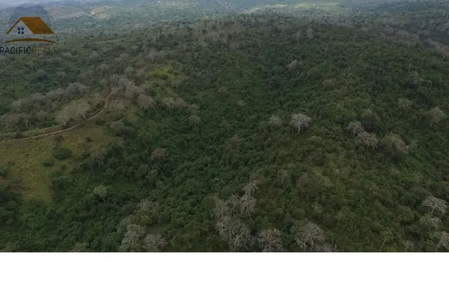 Terreno - Norte de Isidro Ayora, Guayas — imagen 3