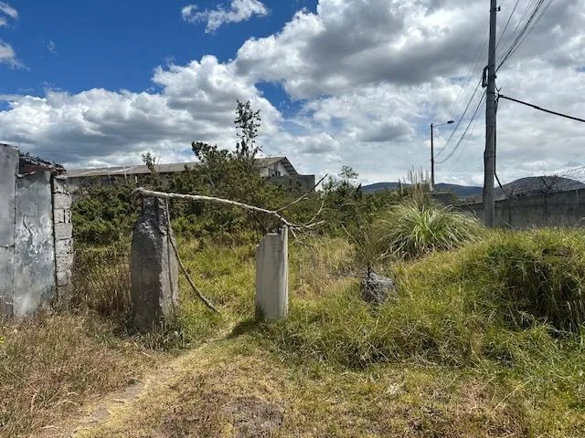 Terreno Av La Prensa en Venta — imagen 2
