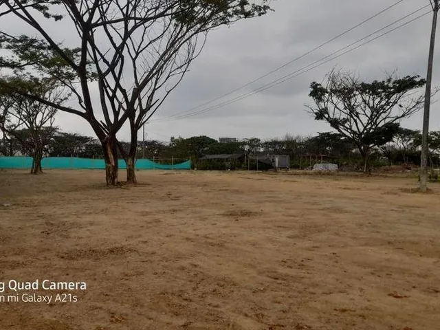 Vendo Terreno Comercial, Frente a La Entrada a Villa Club, Av Leon Febres Cordero, Guayas — imagen 3