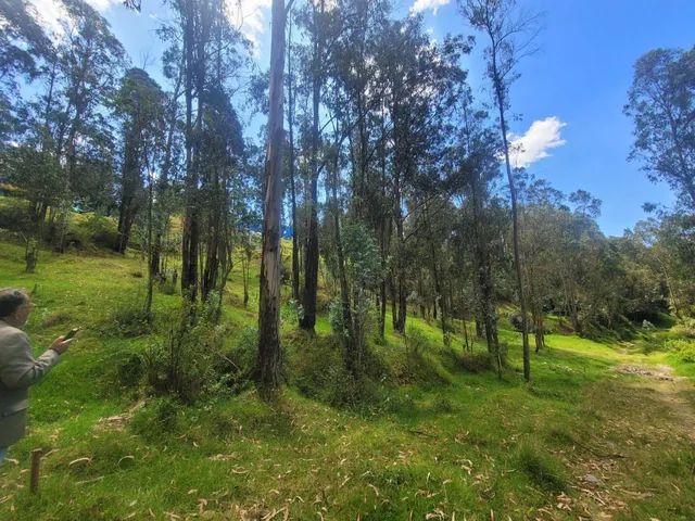 Vendo Terreno, Sector La Armenia — imagen 5