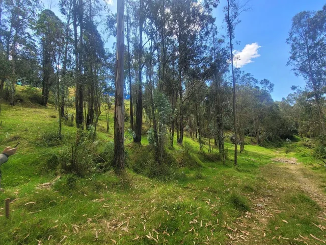 Vendo Terreno, Sector La Armenia — imagen 4