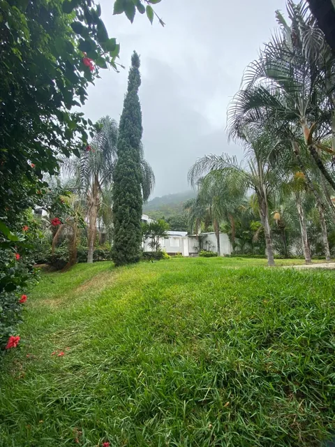 Terreno Olivos, Guayas — imagen 4