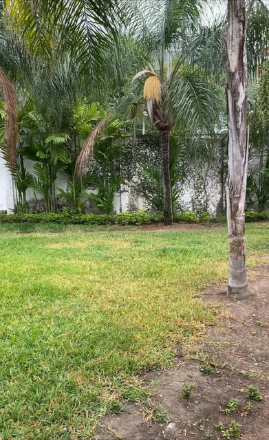 Terreno Olivos, Guayas — imagen 3