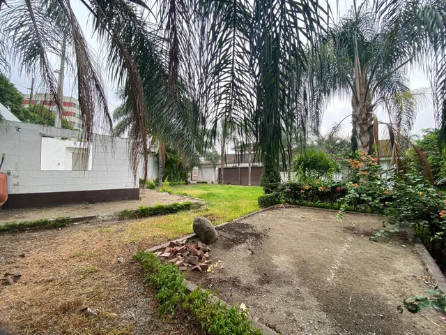 Terreno Olivos, Guayas — imagen 2