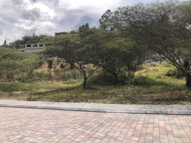 Terrenos de Venta Junto a La Ruta Viva, Nueva Urbanización, Muy Buenos Acabados — imagen 5