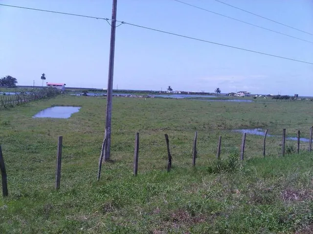 Espectacular Terreno de Venta en Cojimies, Manabí — imagen 4