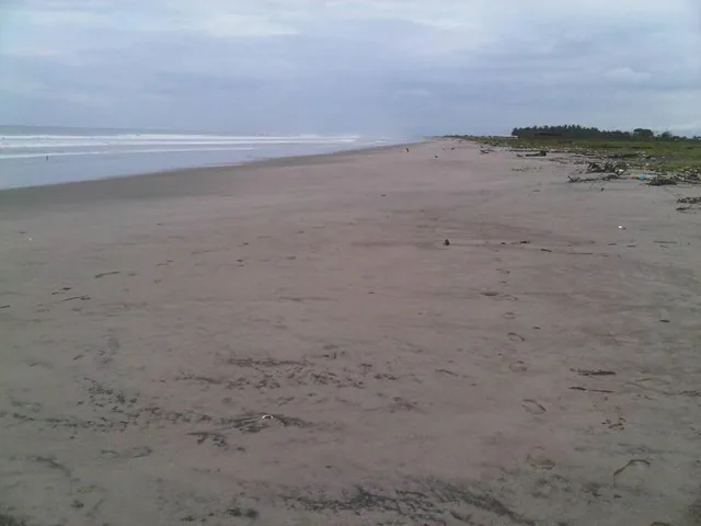 Espectacular Terreno de Venta en Cojimies, Manabí — imagen 2