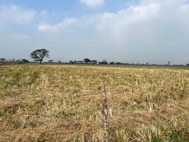 Venta Terreno 4.75 Has Nuevo Samborondon, Sector Sabanilla, Guayas — imagen 3