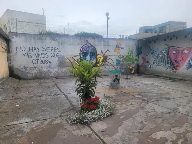 Terreno en Venta, con Casa de Cuidador Sector Calderón — imagen 4
