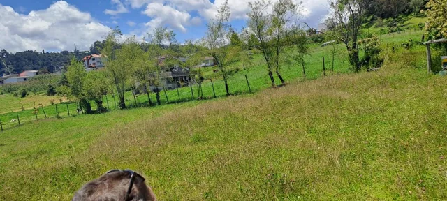 Vendo Terreno Cerca Club Los Chillos — imagen 2