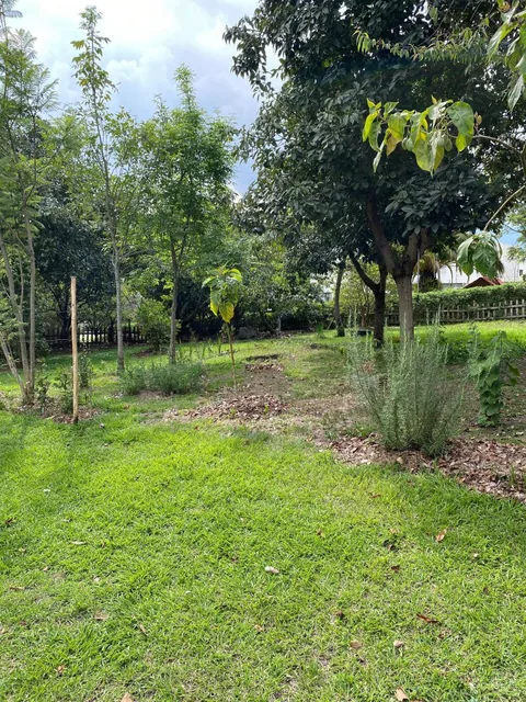Hermoso Terreno Venta Cumbayá — imagen 3