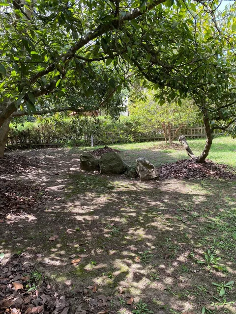Hermoso Terreno Venta Cumbayá — imagen 2
