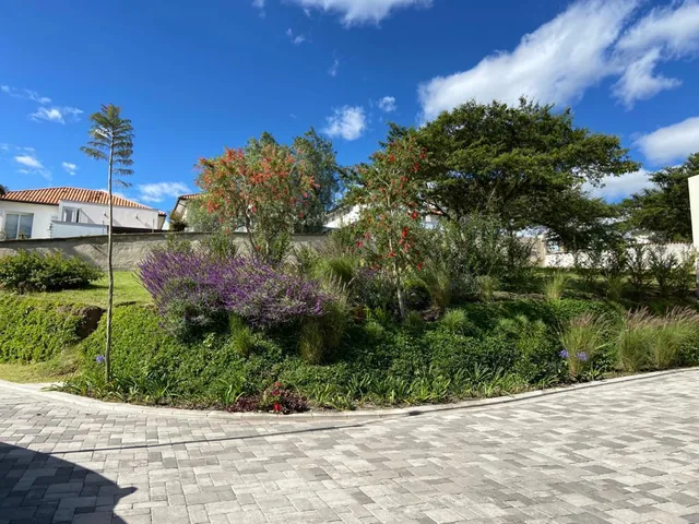 Muy Buen Terreno de Venta Dentro de Urbanización Cerrada en Tumbaco — imagen 5