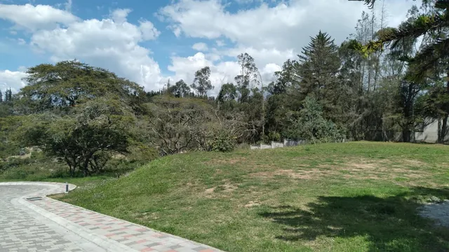 Muy Buen Terreno Ubicado en Urbanización Nueva en Puembo, Exclusividad — imagen 4