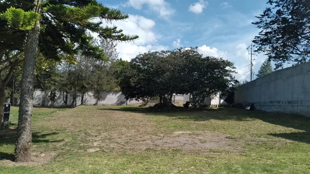Muy Buen Terreno Ubicado en Urbanización Nueva en Puembo, Exclusividad — imagen 3