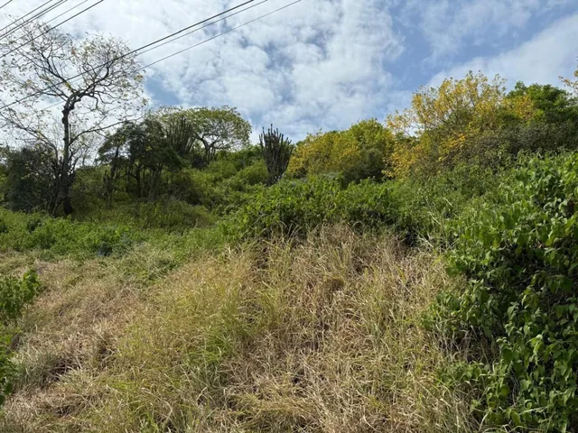 Terreno en Venta en Montecristi, Manabí — imagen 2