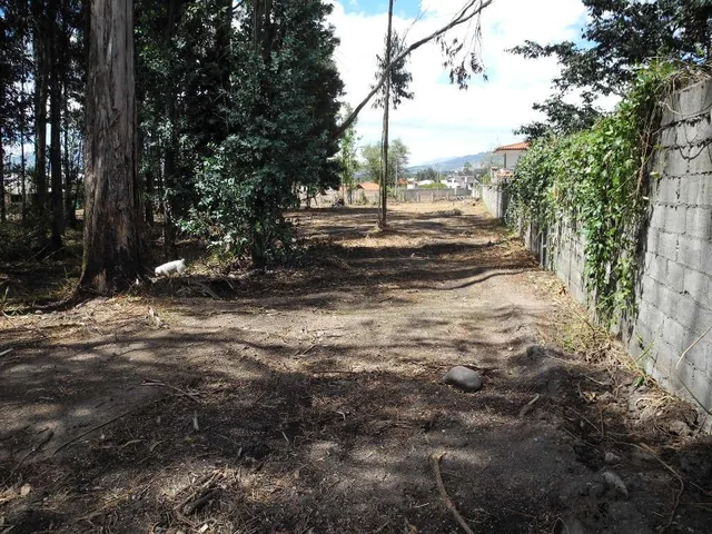 Vendo Armenia Terreno 5.479 m² y Casa 300 m² C. Valle de Los Chillos — imagen 4