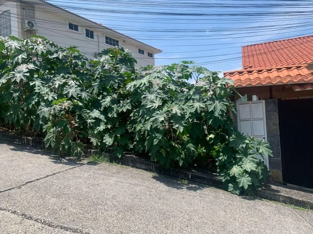 Venta de Terreno en Urbanizacion Ceibos Santa Cecilia 400 m² Negociable (Aq), Guayas — imagen 4