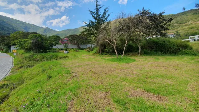Se Vende Terreno en Tumbaco — imagen 5